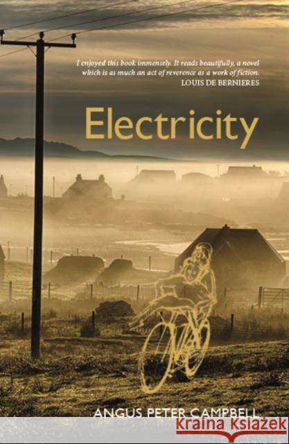 Electricity Angus Peter Campbell 9781804250501 Luath Press Ltd - książka