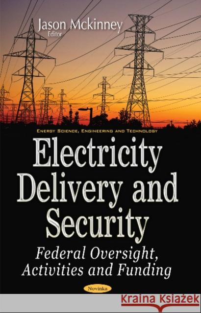 Electricity Delivery & Security: Federal Oversight, Activities & Funding Jason Mckinney 9781536105377 Nova Science Publishers Inc - książka