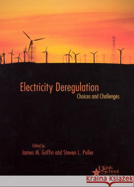 Electricity Deregulation: Choices and Challenges Volume 4 Griffin, James M. 9780226308562 University of Chicago Press - książka