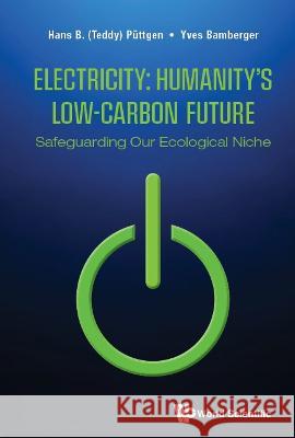 Electricity: Humanity's Low-Carbon Future - Safeguarding Our Ecological Niche Hans B. Puttgen Yves Bamberger 9789811224355 World Scientific Publishing Company - książka