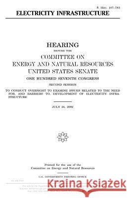 Electricity infrastructure Senate, United States 9781983558757 Createspace Independent Publishing Platform - książka