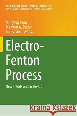 Electro-Fenton Process: New Trends and Scale-Up Zhou, Minghua 9789811348730 Springer - książka