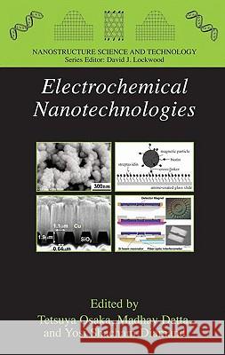 Electrochemical Nanotechnologies Tetsuya Osaka Madhav Datta Yosi Shacham-Diamand 9781441914231 Springer - książka