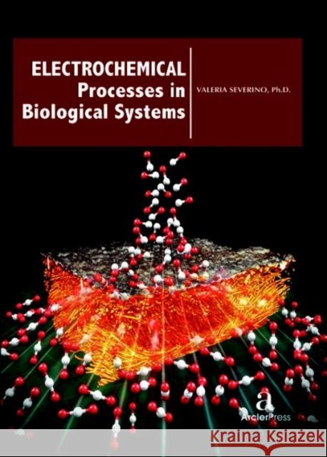 Electrochemical Processes in Biological Systems Valeria Severino   9781680944167 Arcler Education Inc - książka