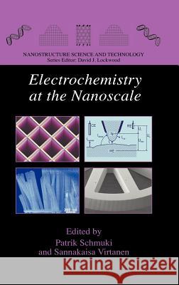 Electrochemistry at the Nanoscale Patrik Schmuki Sannakaisa Virtanen 9780387735818 Not Avail - książka