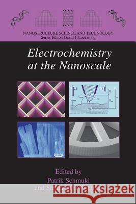 Electrochemistry at the Nanoscale Patrik Schmuki Sannakaisa Virtanen 9781489986603 Springer - książka