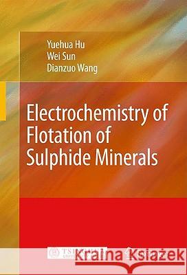 Electrochemistry of Flotation of Sulphide Minerals Yuehua Hu Wei Sun Dianzuo Wang 9783540921783 Springer - książka