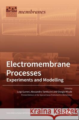 Electromembrane Processes: Experiments and Modelling Luigi Gurreri Alessandro Tamburini Giorgio Micale 9783036515304 Mdpi AG - książka