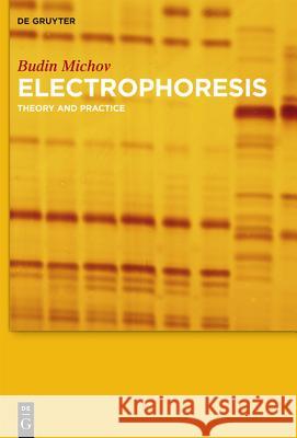 Electrophoresis: Theory and Practice Michov, Budin 9783110330717 De Gruyter - książka