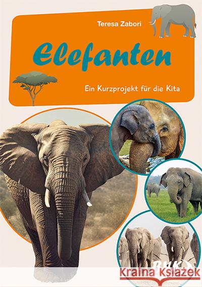 Elefanten Zabori, Teresa 9783965201736 BVK Buch Verlag Kempen - książka