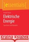 Elektrische Energie: Speichern Und Wandeln Holze, Rudolf 9783658265717 Springer Spektrum