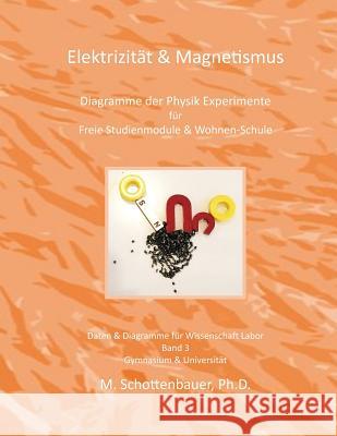 Elektrizität & Magnetismus: Band 3: Diagramme der Physik Experimente für Freie Studienmodule & Wohnen-Schule Schottenbauer, M. 9781497404656 Createspace - książka