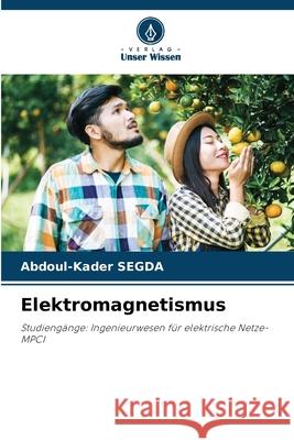 Elektromagnetismus Segda, Abdoul-Kader 9786208006389 Verlag Unser Wissen - książka