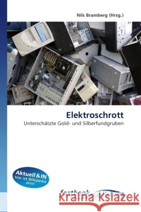 Elektroschrott : Unterschätzte Gold- und Silberfundgruben Bramberg, Nils 9786130114145 FastBook Publishing - książka