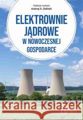 Elektrownie jądrowe w nowoczesnej gospodarce Andrzej Zieliński 9788301233440 Wydawnictwo Naukowe PWN - książka