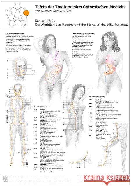 Element Erde, 1 Tafel : Der Meridian des Magens und der Meridian des Milz-Pankreas Eckert, Achim 9783902735676 Bacopa - książka