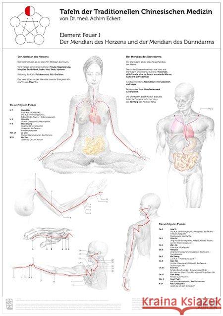 Element Feuer, 1 Tafel. Tl.1 : Der Meridian des Herzens und der Meridian des Dünndarms Eckert, Achim 9783902735652 Bacopa - książka