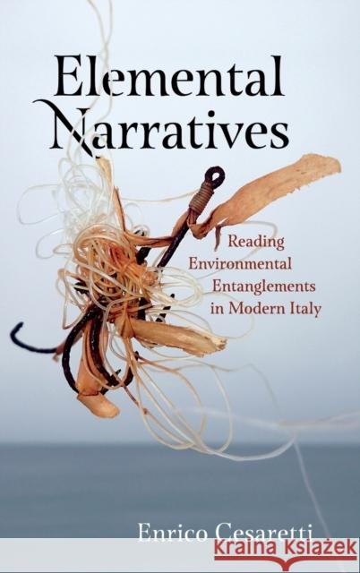 Elemental Narratives: Reading Environmental Entanglements in Modern Italy Cesaretti, Enrico 9780271087733 Penn State University Press - książka