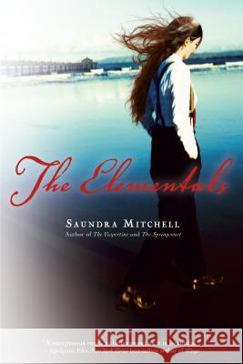 Elementals Saundra Mitchell 9780544302396 Hmh Books for Young Readers - książka