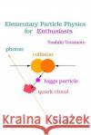 Elementary Particle Physics for Enthusiasts Yoshiki Teramoto 9781512142945 Createspace