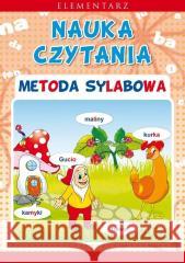Elementarz Nauka czytania Metoda sylabowa Beata Guzowska 9788382604832 LITERAT - książka