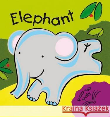 Elephant - Pop Up Book Fiona Hayes 9781906842192  - książka