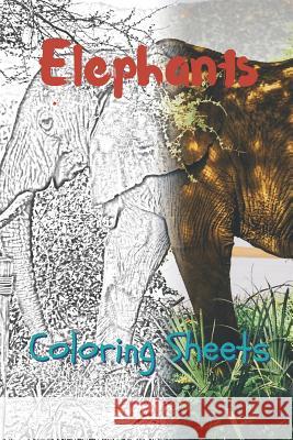 Elephant Coloring Sheets: 30 Elephant Drawings, Coloring Sheets Adults Relaxation, Coloring Book for Kids, for Girls, Volume 14 Julian Smith 9781797637075 Independently Published - książka