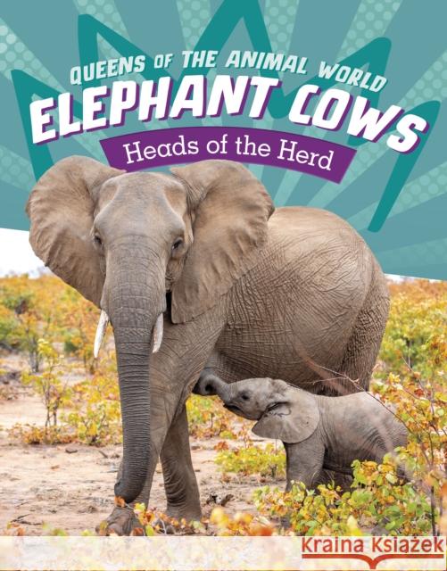 Elephant Cows: Heads of the Herd Maivboon Sang 9781398245877 Capstone Global Library Ltd - książka