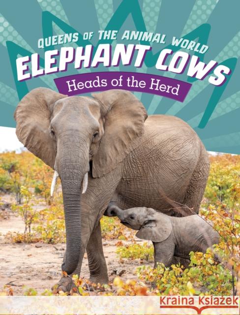 Elephant Cows: Heads of the Herd Maivboon Sang 9781398245884 Capstone Global Library Ltd - książka