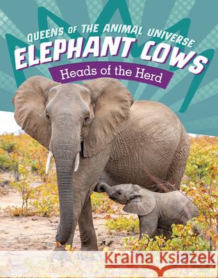 Elephant Cows: Heads of the Herd Maivboon Sang 9781666343021 Pebble Books - książka