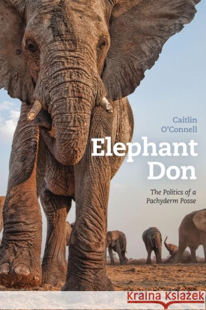 Elephant Don: The Politics of a Pachyderm Posse Caitlin O'Connell 9780226106113 University of Chicago Press - książka