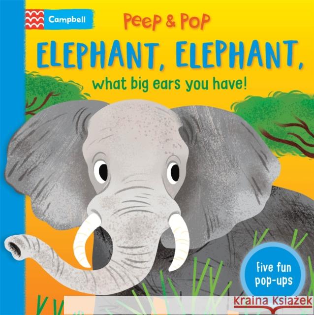 Elephant, Elephant, What Big Ears You Have!: With Five Pop-ups! Campbell Books 9781035042548 Pan Macmillan - książka