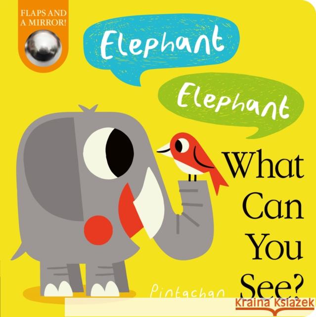 Elephant! Elephant! What Can You See? Amelia Hepworth 9781788818322 Little Tiger Press Group - książka