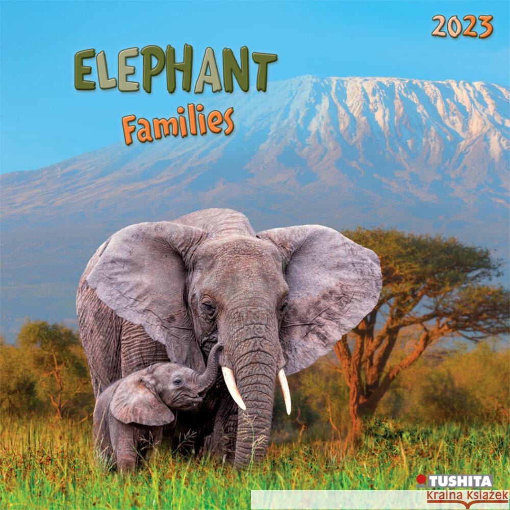 Elephant Families 2023  9783959290494 Tushita - książka