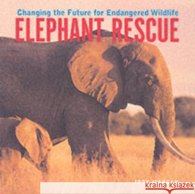 Elephant Rescue: Changing the Future for Endangered Wildlife Jody Morgan 9781552975947 Firefly Books - książka