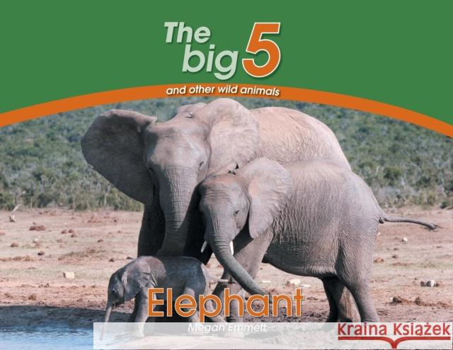 Elephant: The Big 5 and other wild animals Emmett, Megan 9780639300108 Awareness Publishing - książka