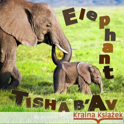 Elephant Tisha b'Av MacLeod, Jennifer Tzivia 9780994068538 Safer Editions - książka