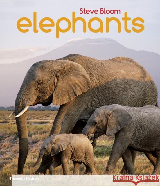 Elephants Steve Bloom 9780500650554 Thames & Hudson Ltd - książka