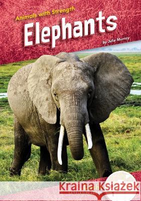 Elephants Julie Murray 9781098280024 Dash! - książka