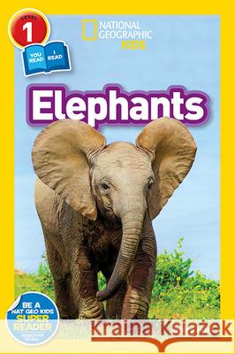 Elephants Hurt, Avery 9781426326189 National Geographic Society - książka