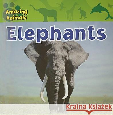 Elephants Sara Albee 9781433920134 Gareth Stevens Publishing - książka