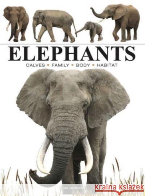 Elephants Tom Jackson 9781838863593 Amber Books - książka