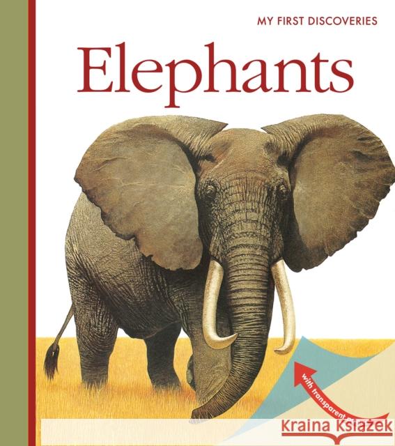 Elephants James Prunier 9781851034734 Moonlight Publishing Ltd - książka