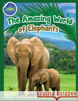 Elephants Activity Workbook for Kids ages 4-8! Beth Costanzo 9781087956954 Adventures of Scuba Jack - książka