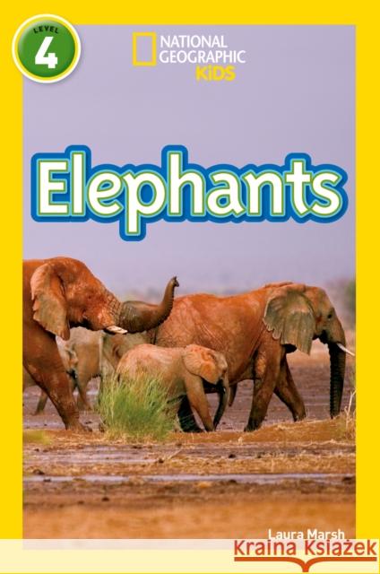 Elephants: Level 4 National Geographic Kids 9780008266813 HarperCollins Publishers - książka