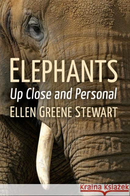 Elephants: Up Close and Personal Ellen Greene Stewart 9781476687797 Toplight Books - książka