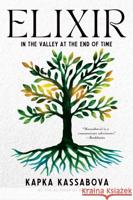 Elixir: In the Valley at the End of Time Kapka Kassabova 9781644452332 Graywolf Press - książka