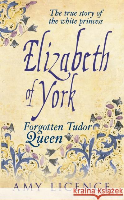 Elizabeth of York: The Forgotten Tudor Queen Amy Licence 9781445633145 Amberley Publishing - książka