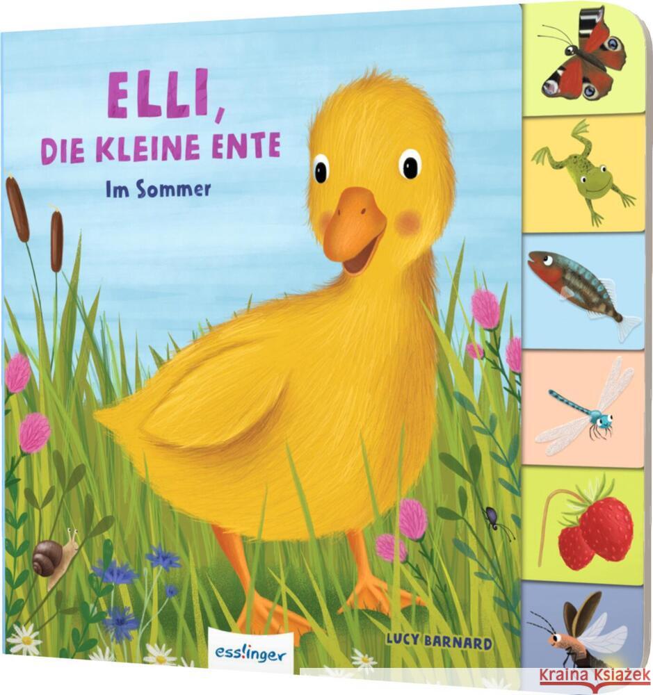 Elli, die kleine Ente Kiel, Anja 9783480238194 Esslinger in der Thienemann-Esslinger Verlag  - książka