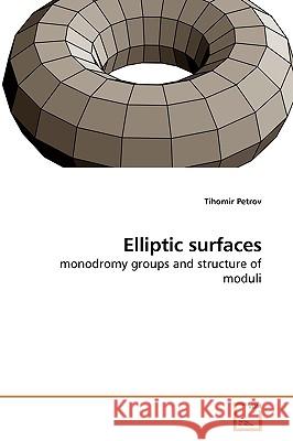 Elliptic surfaces Petrov, Tihomir 9783639215168 VDM Verlag - książka